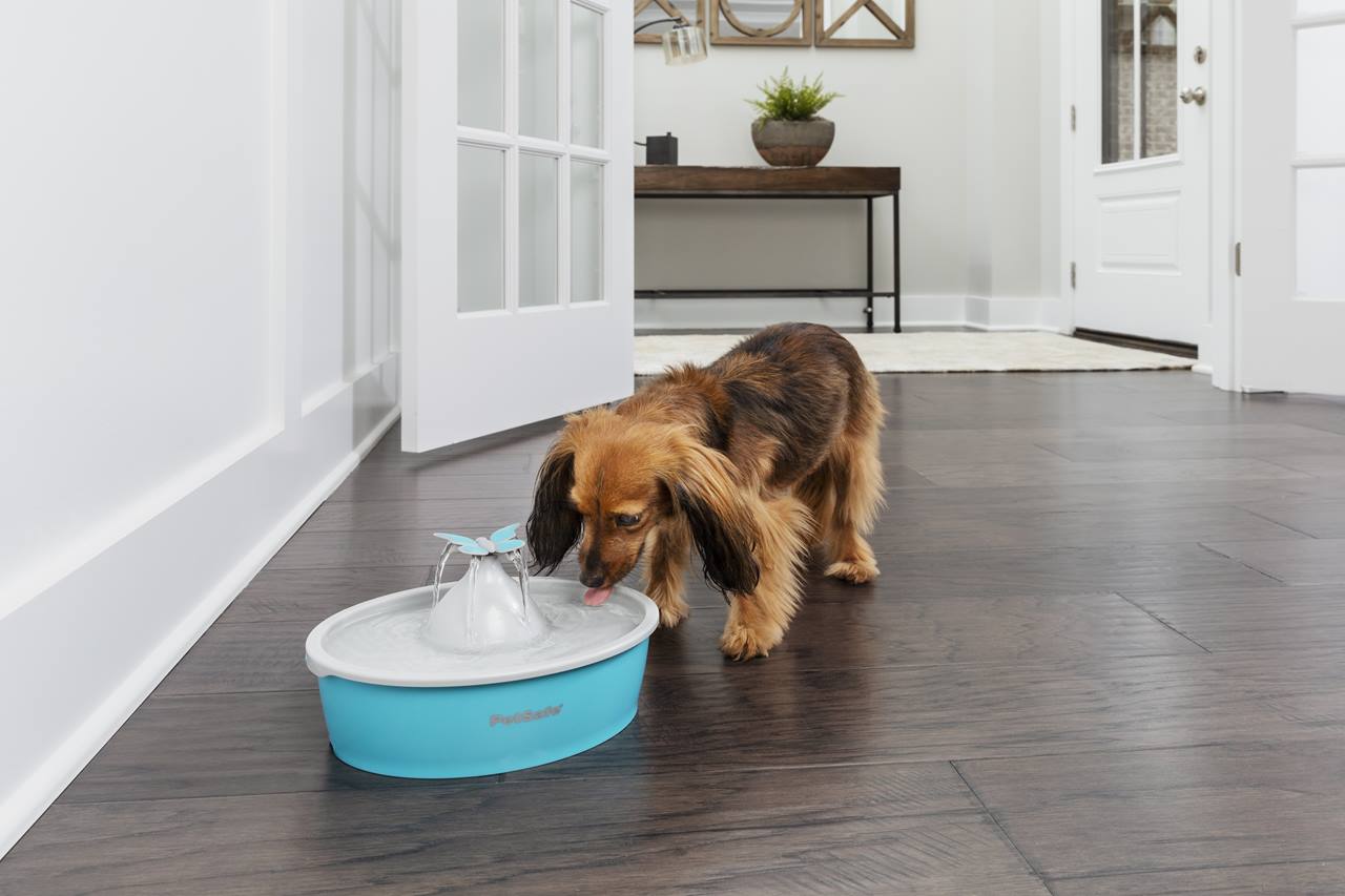 Drinkwell Butterfly Pet Fountain- EU Adaptor