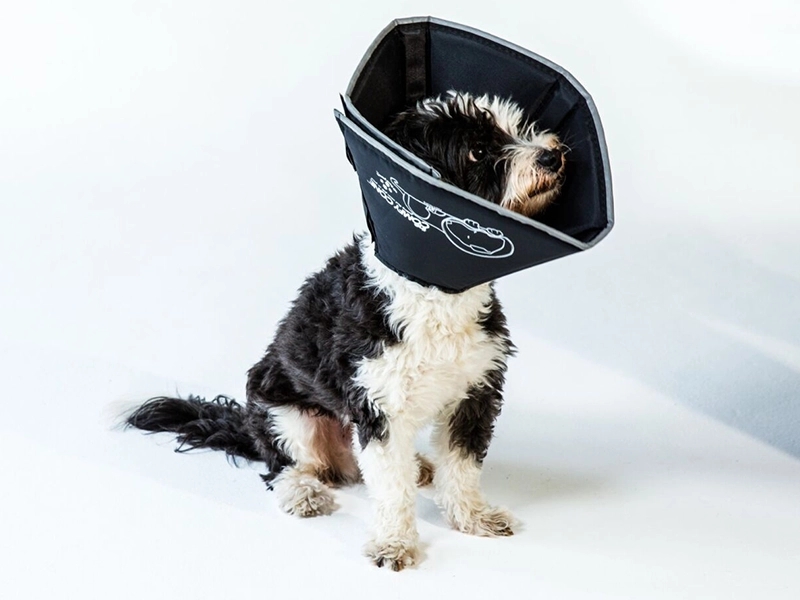 Comfy Cone Zwart