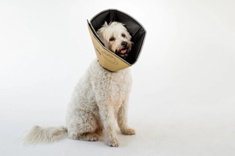Comfy Cone Kaki