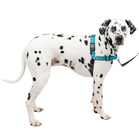 PetSafe® Easy Walk® Deluxe Harness, Large, Ocean Blue