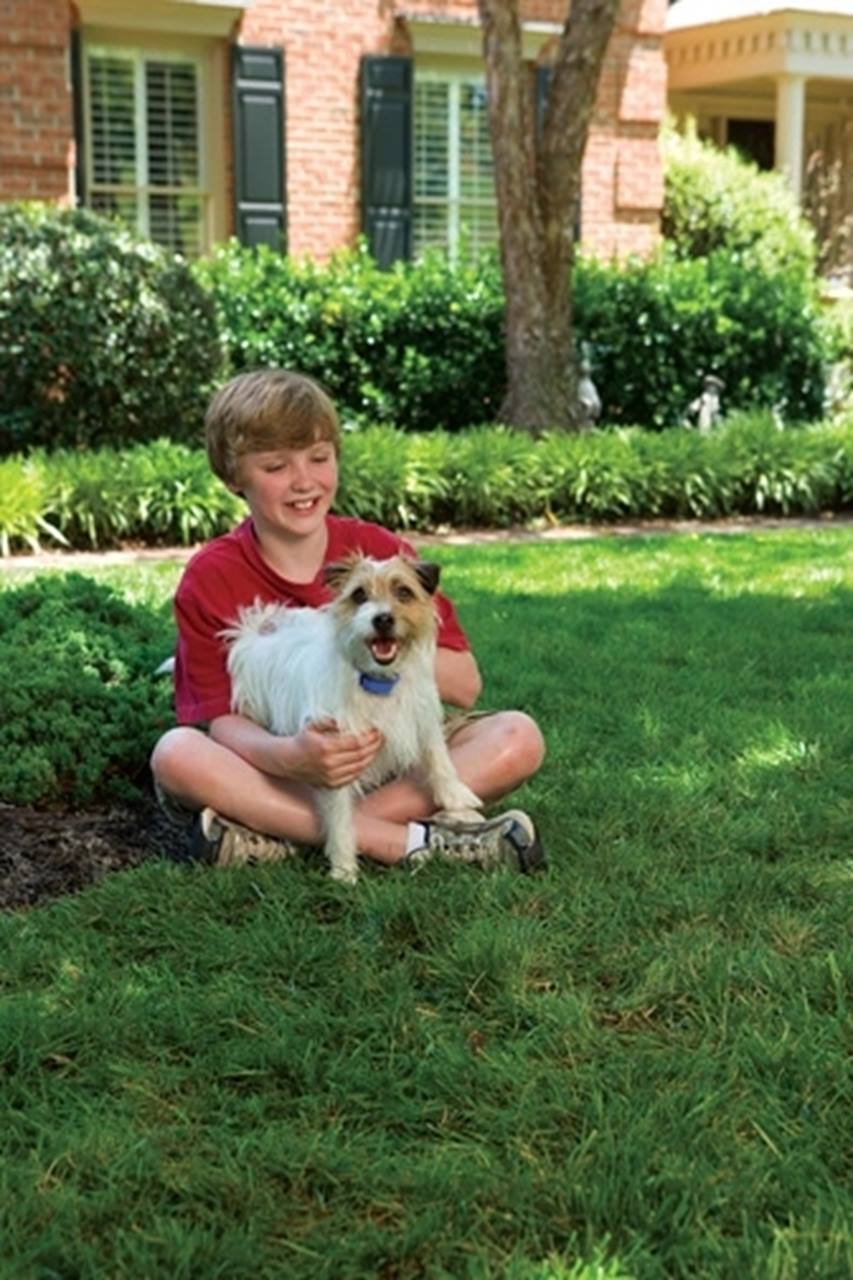 PetSafe® Deluxe Little Dog Spray Bark Control Collar