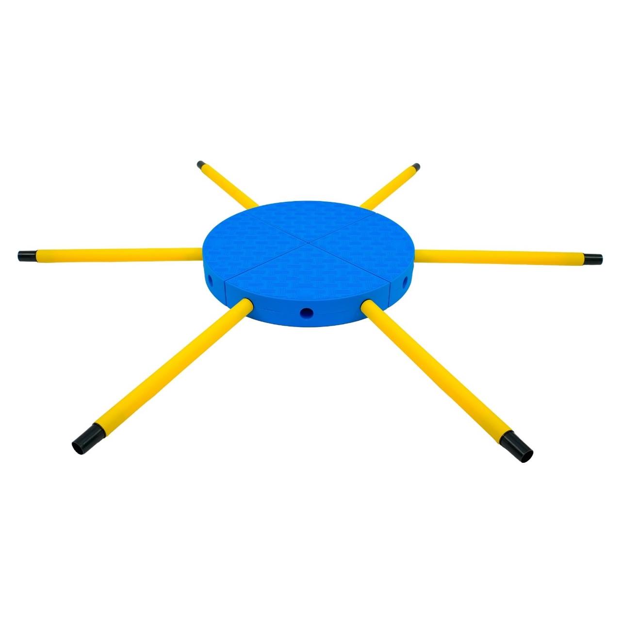 FitPaws FitKinect 360