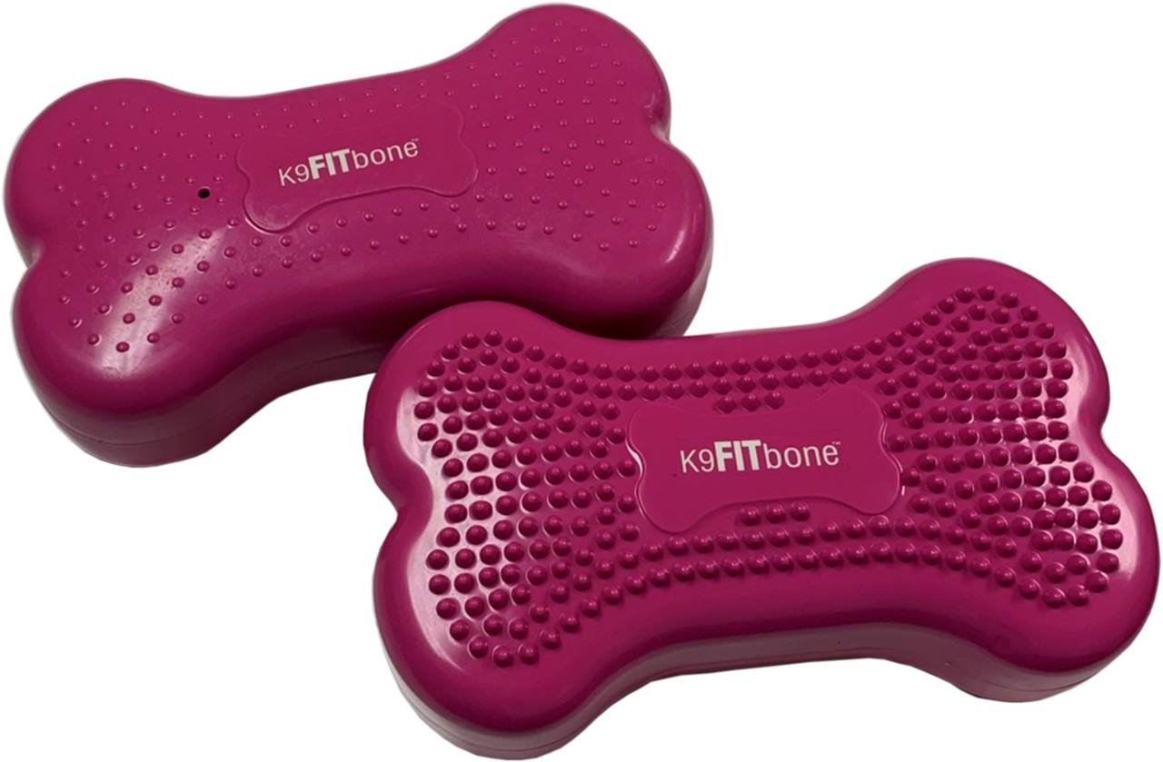 FitPaws bone mini, set of 2, Razzleberry