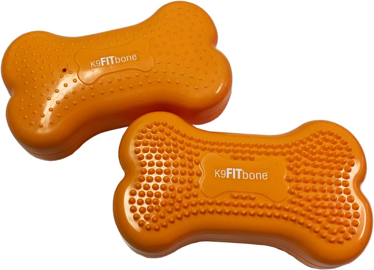 FitPaws bone mini, set of 2, Mango