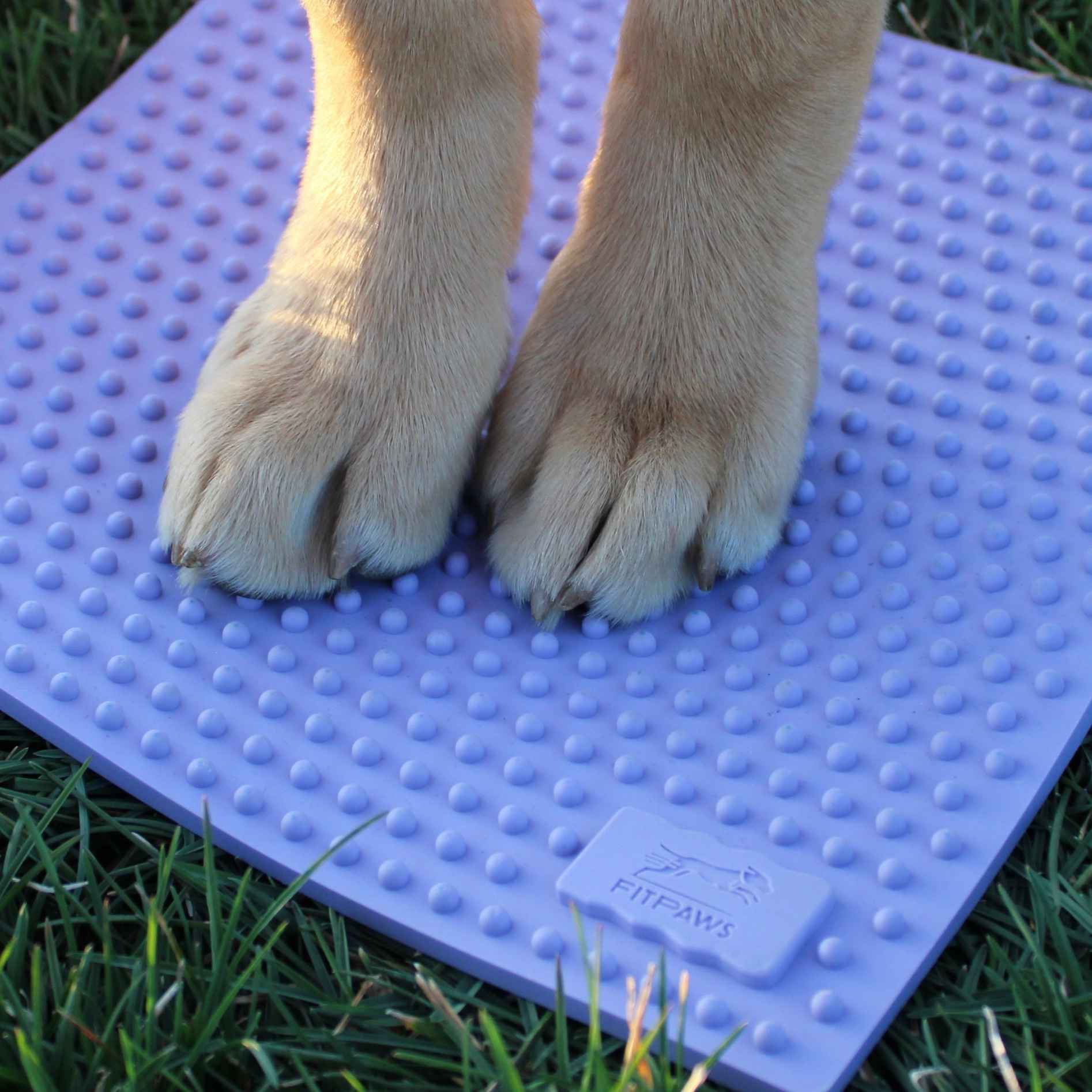 FitPaws Trax Targets - Periwinkle (2 stuks)