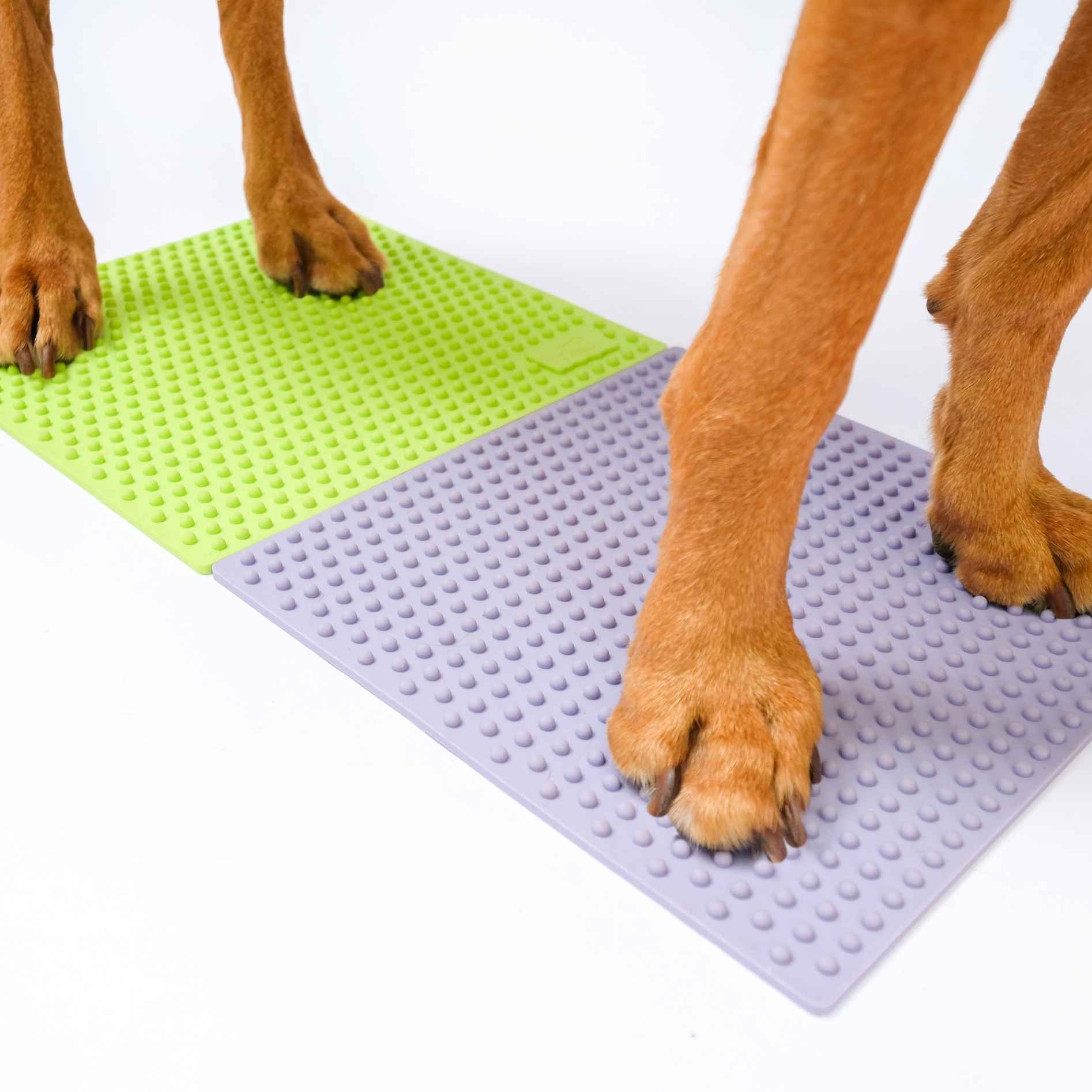FitPaws Trax Targets - Periwinkle (2 pcs)