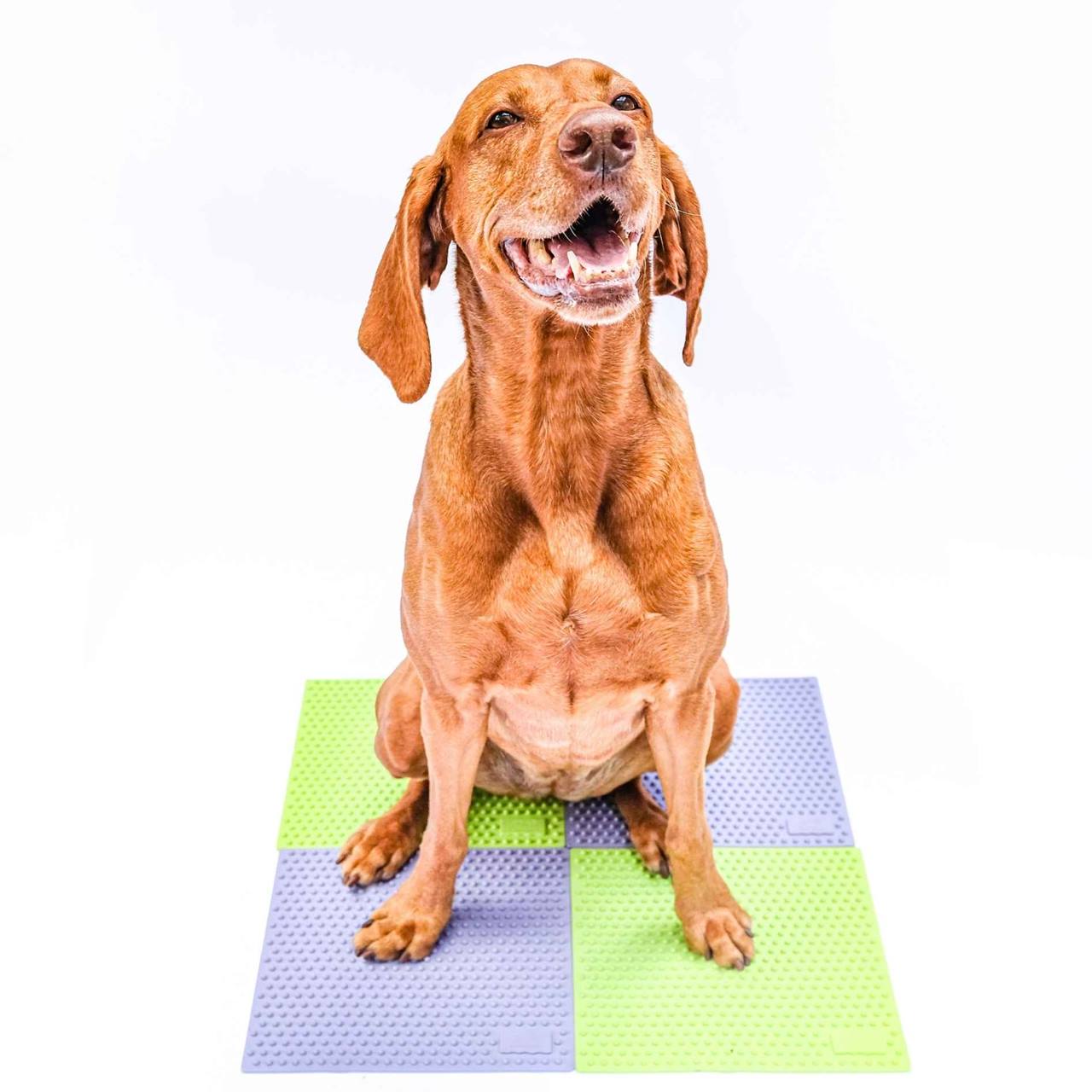 FitPaws Trax Targets - Periwinkle (2 pcs)