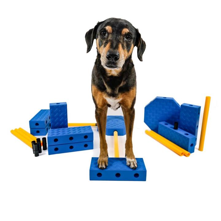 Fitpaws FitKinect Xtra