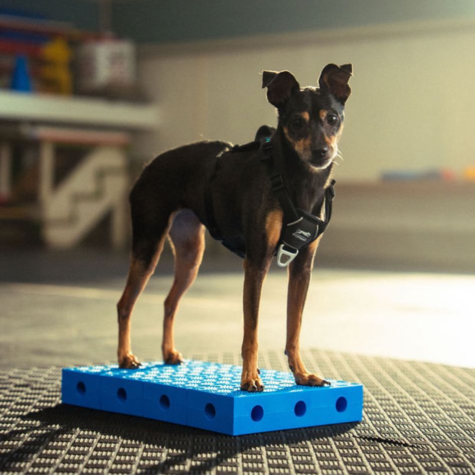 Fitkinect Upgrade Kit - Rectangles