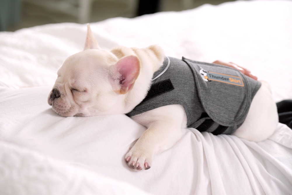 Thundershirt voor Honden Grijs S