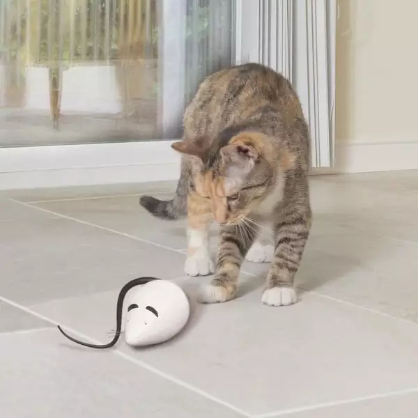 PetSafe® RoloRat Automatic Cat Teaser