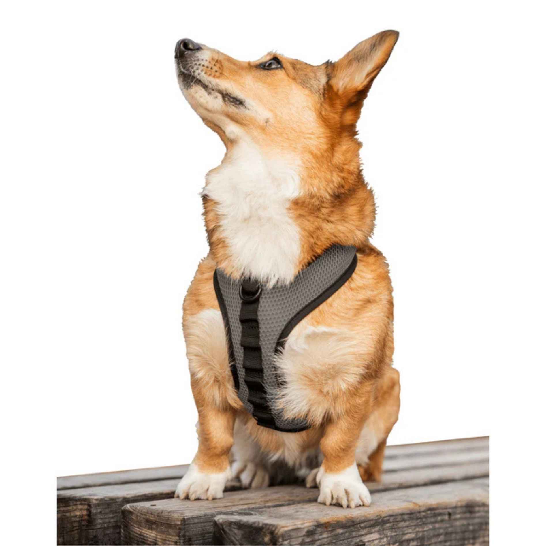 K9 Sport Sack® Dog Harness Shark Skin Gray