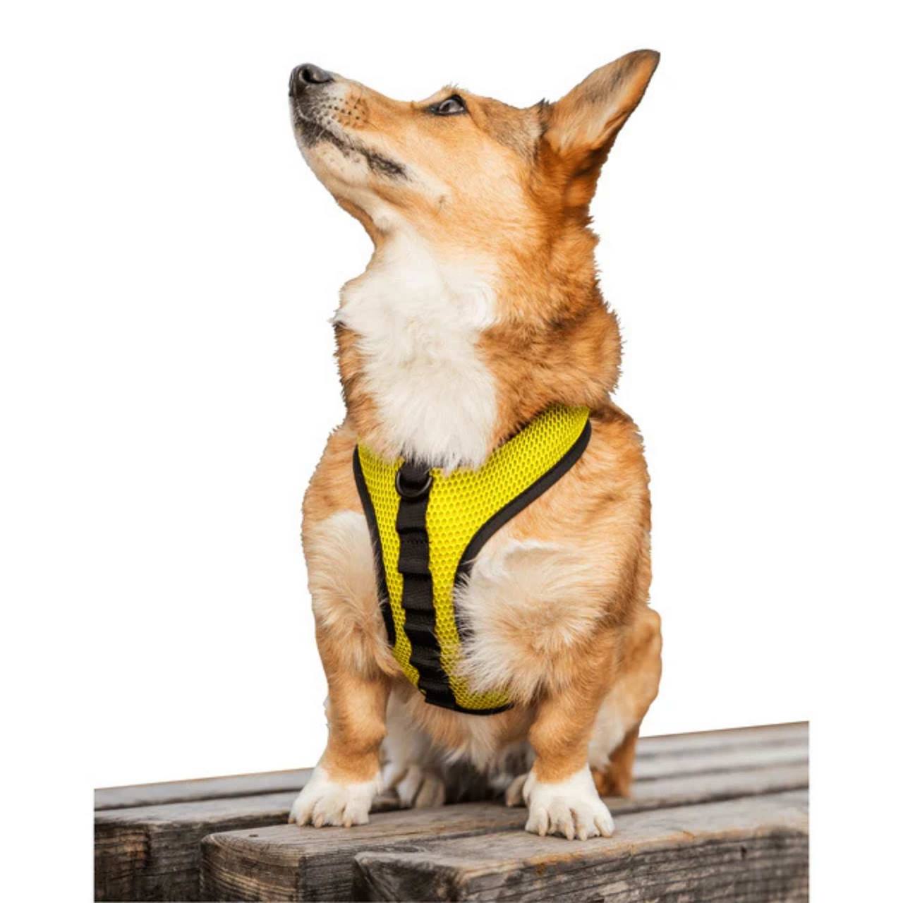 K9 Sport Sack® Hondentuig Buttercup Yellow
