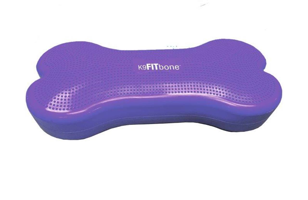 Giant - K9FITbone, Turquoise