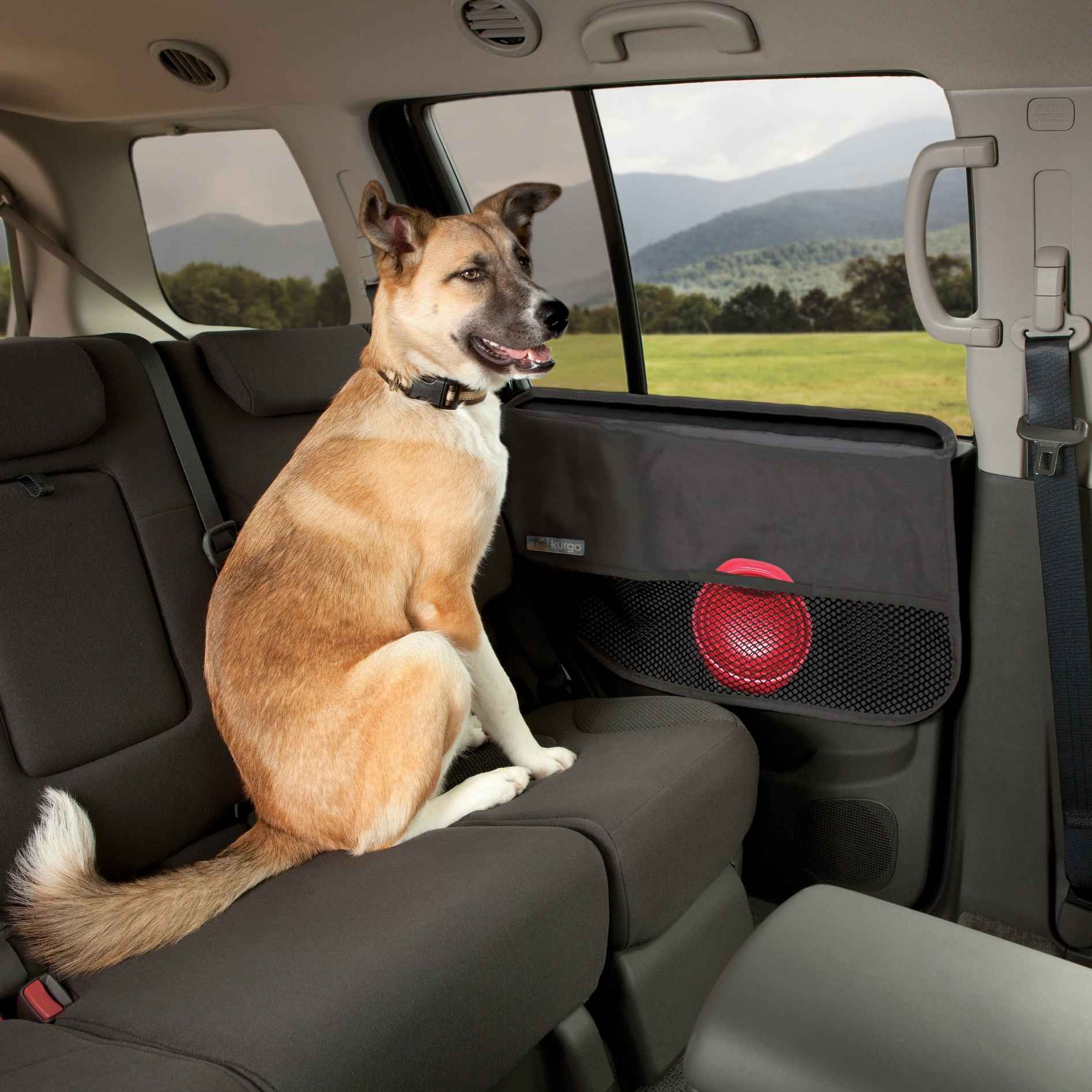 Kurgo Door Guard, Charcoal