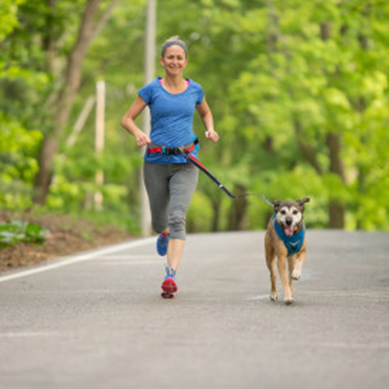 Kurgo Springback Leash