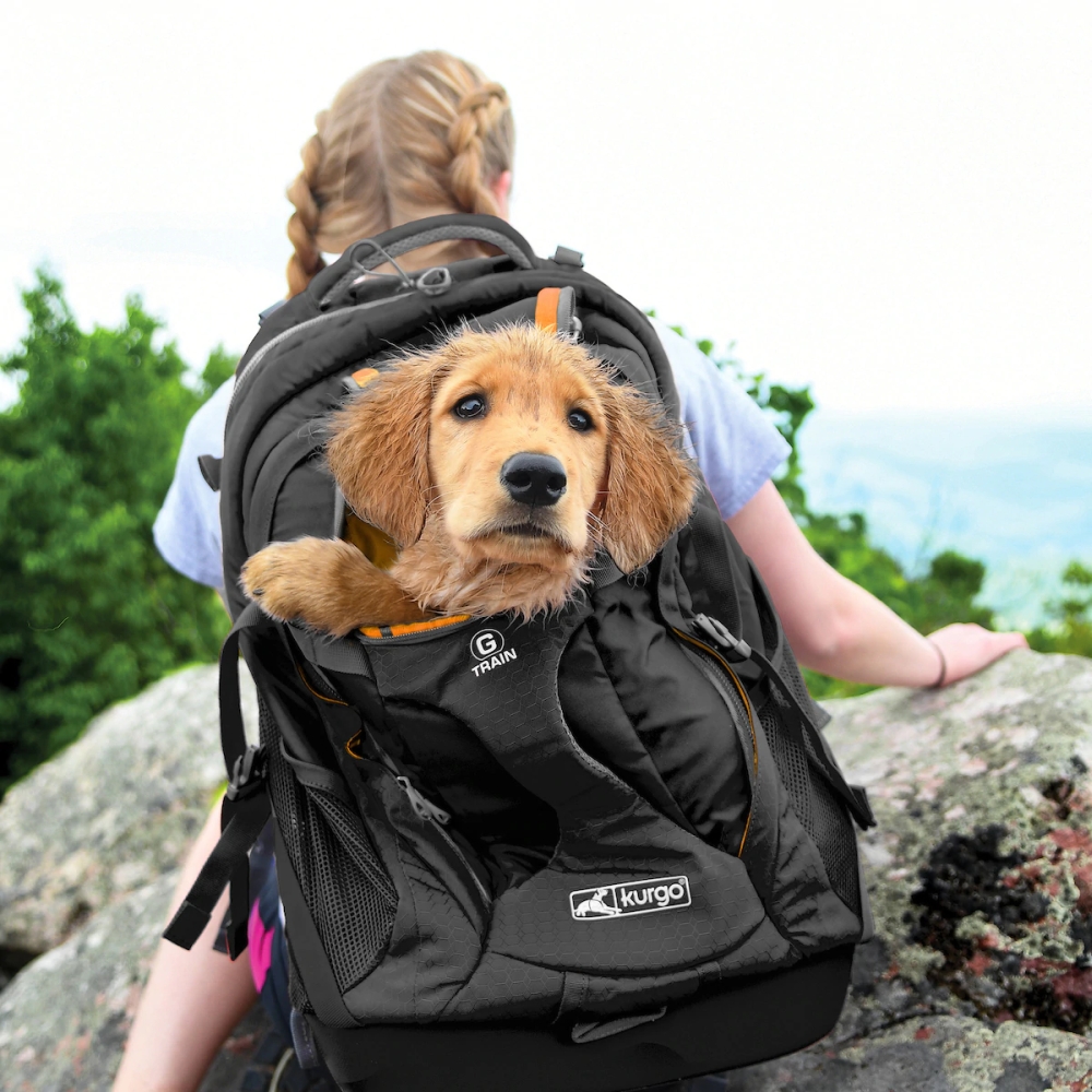 KURGO G-TRAIN K9 PACK BLACK