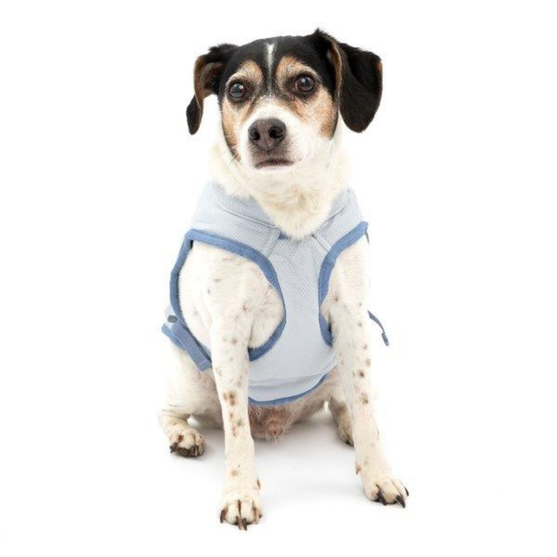 Kurgo Core Cooling Vest Icy Blue/Storm Blue