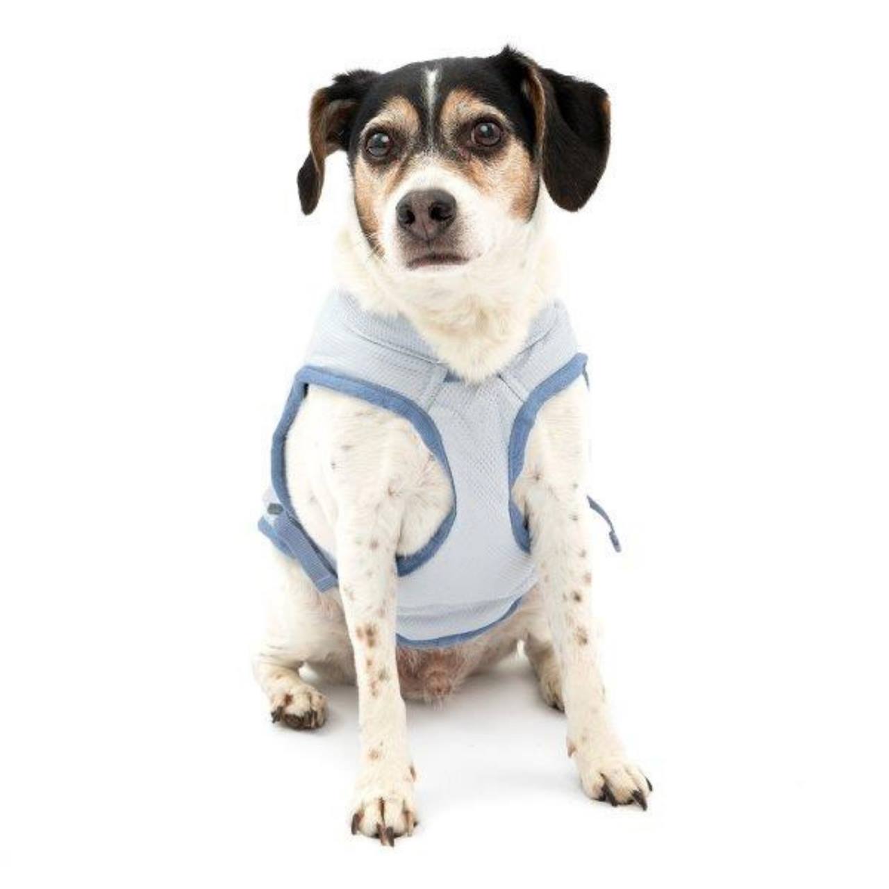 Kurgo Core Koelvest Icy Blue/Storm Blue