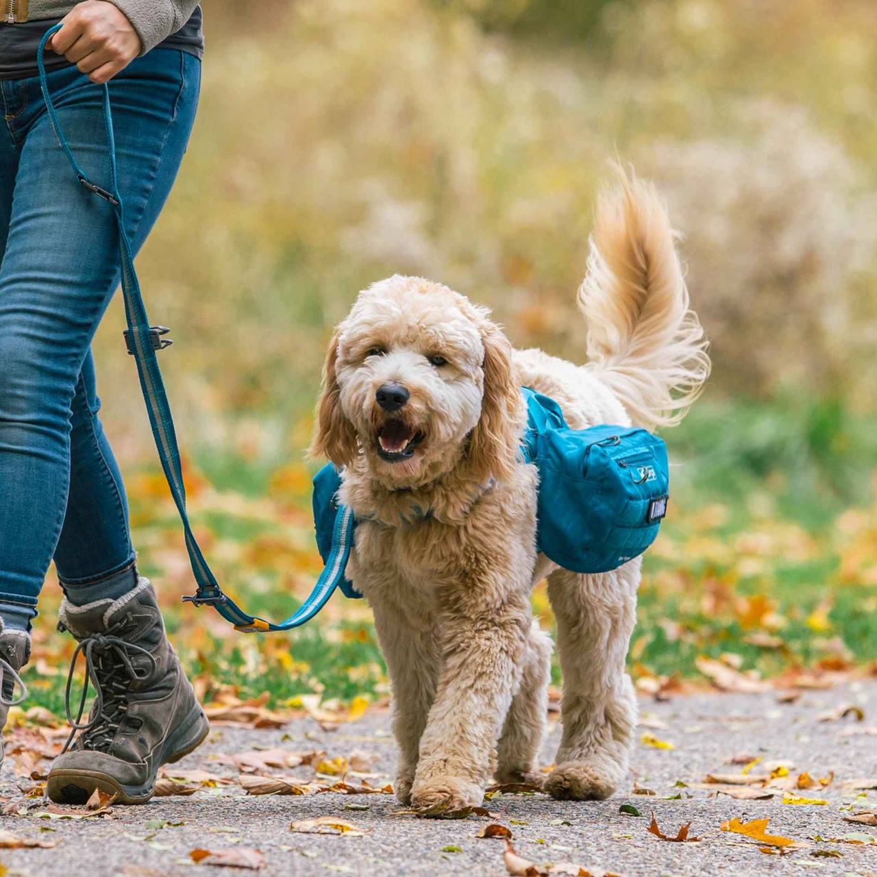 Kurgo RSG Pack Pannier, Coastal Blue