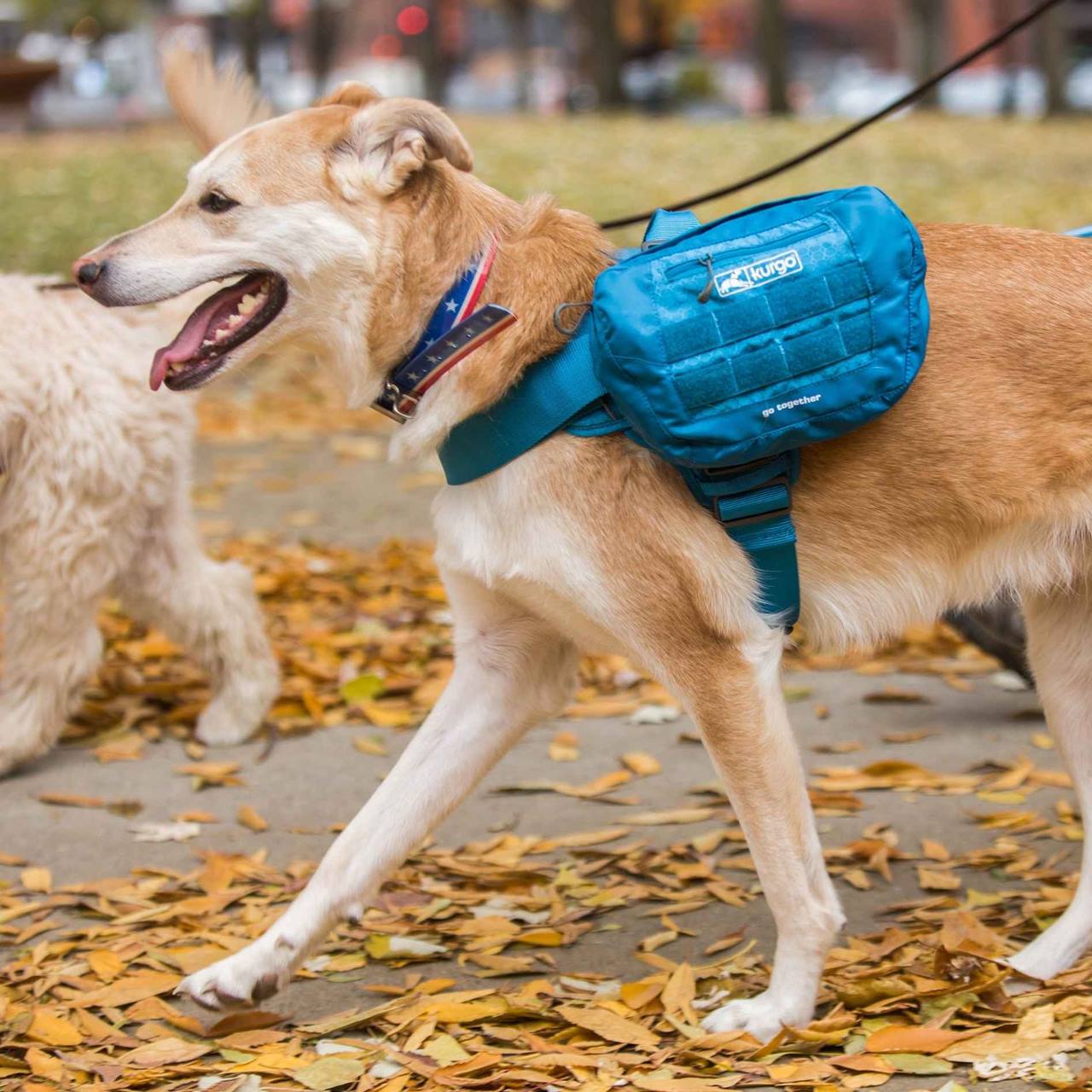 Kurgo RSG Pack Pannier, Coastal Blue