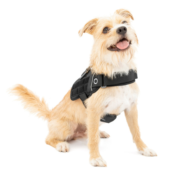 Kurgo RSG Townie Harness Black