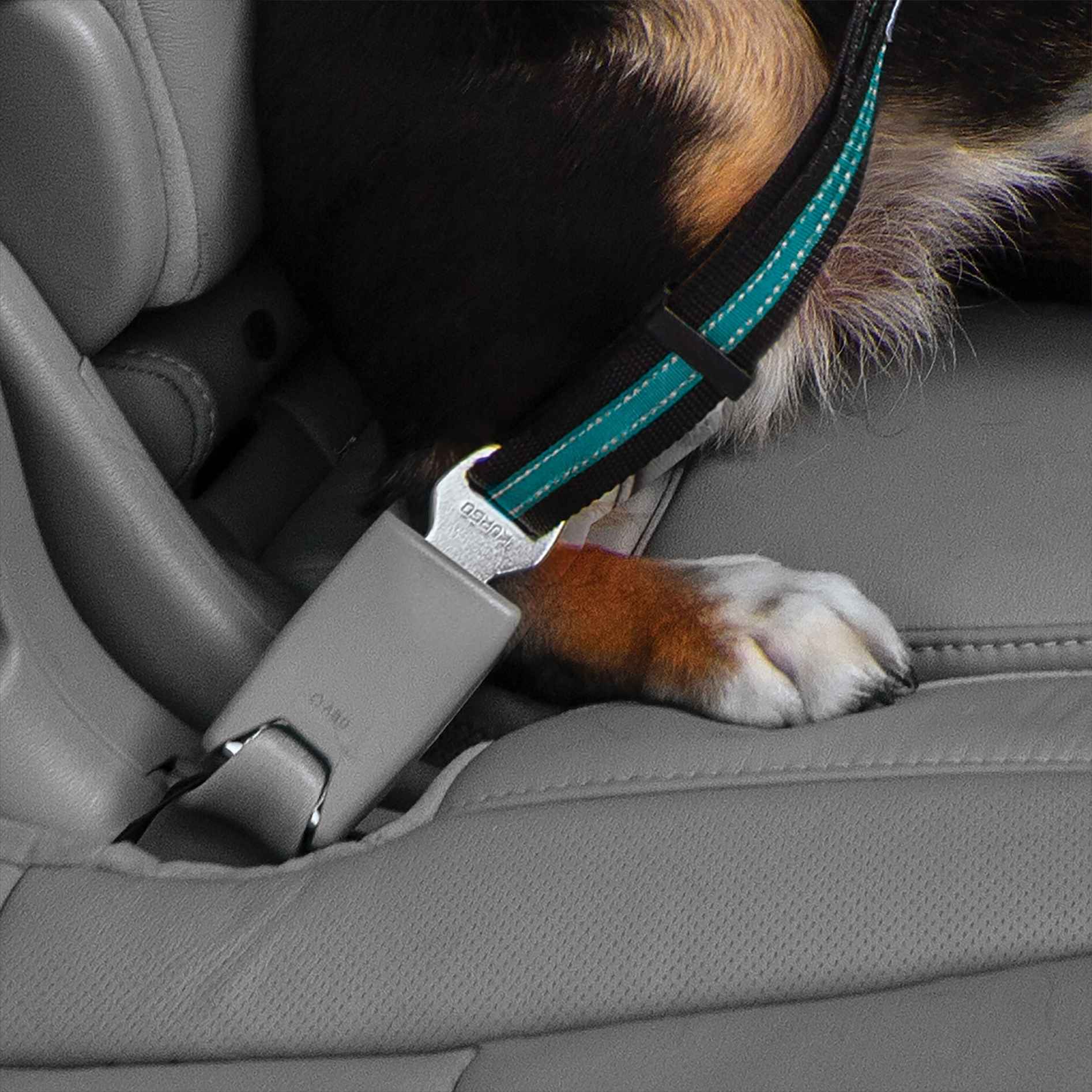 Kurgo Direct to Seatbelt Swivel Tether Blauw