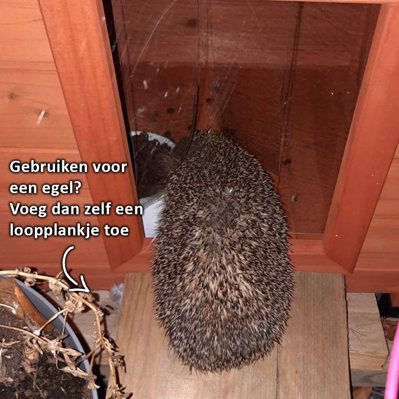 Cat House Outdoor Natural