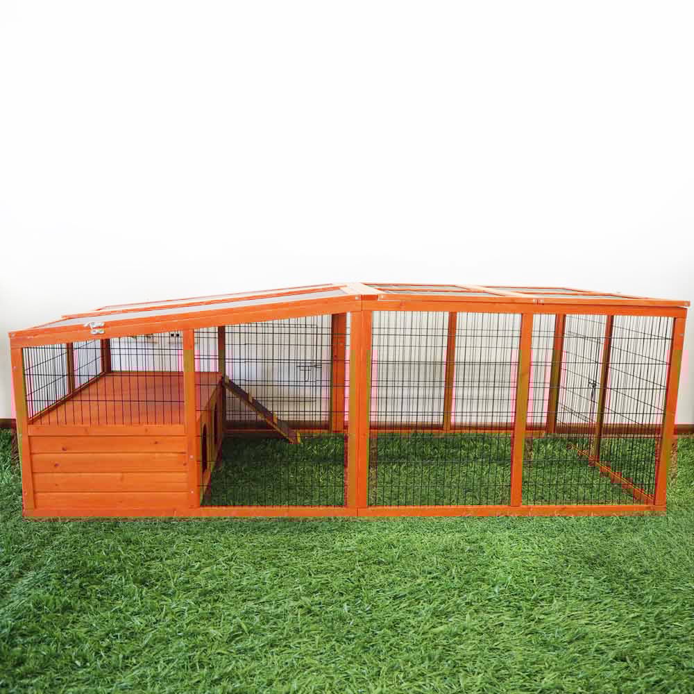 Konijn buitenren Windsor