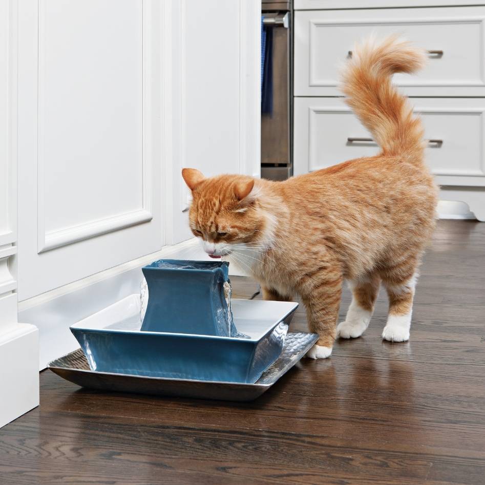 Fontaine pour animaux de compagnie pagode en céramique Drinkwell - Bleu