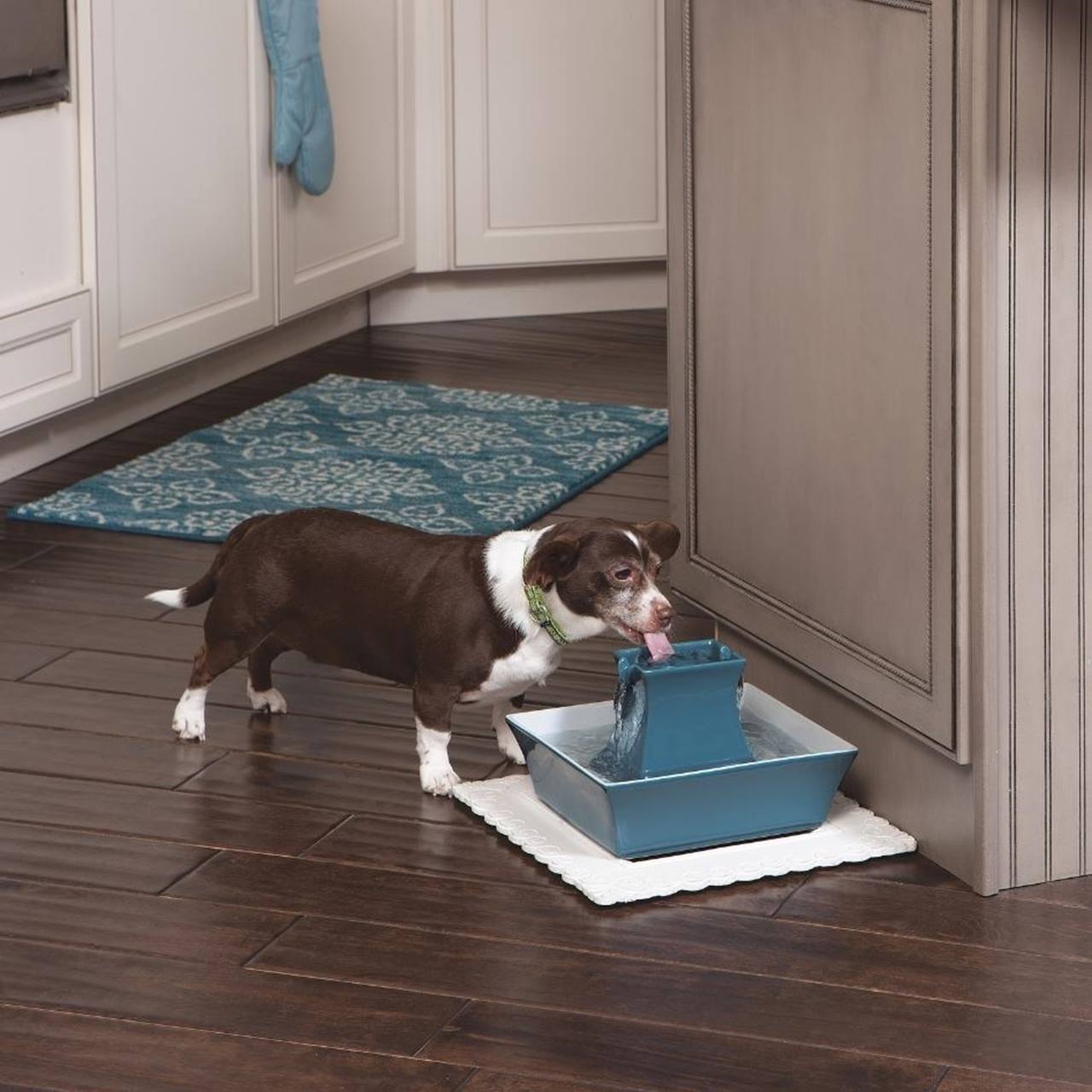 Fontaine pour animaux de compagnie pagode en céramique Drinkwell - Bleu