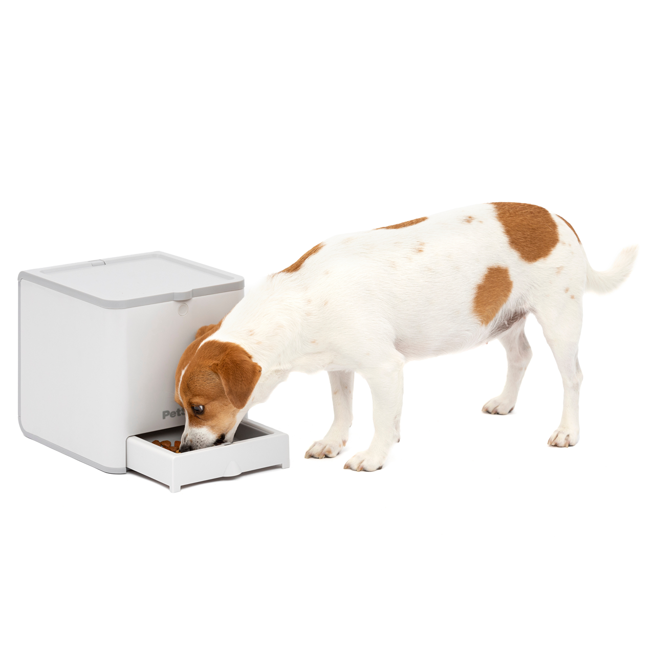 PetSafe® Teach & Treat Remote Reward Trainer