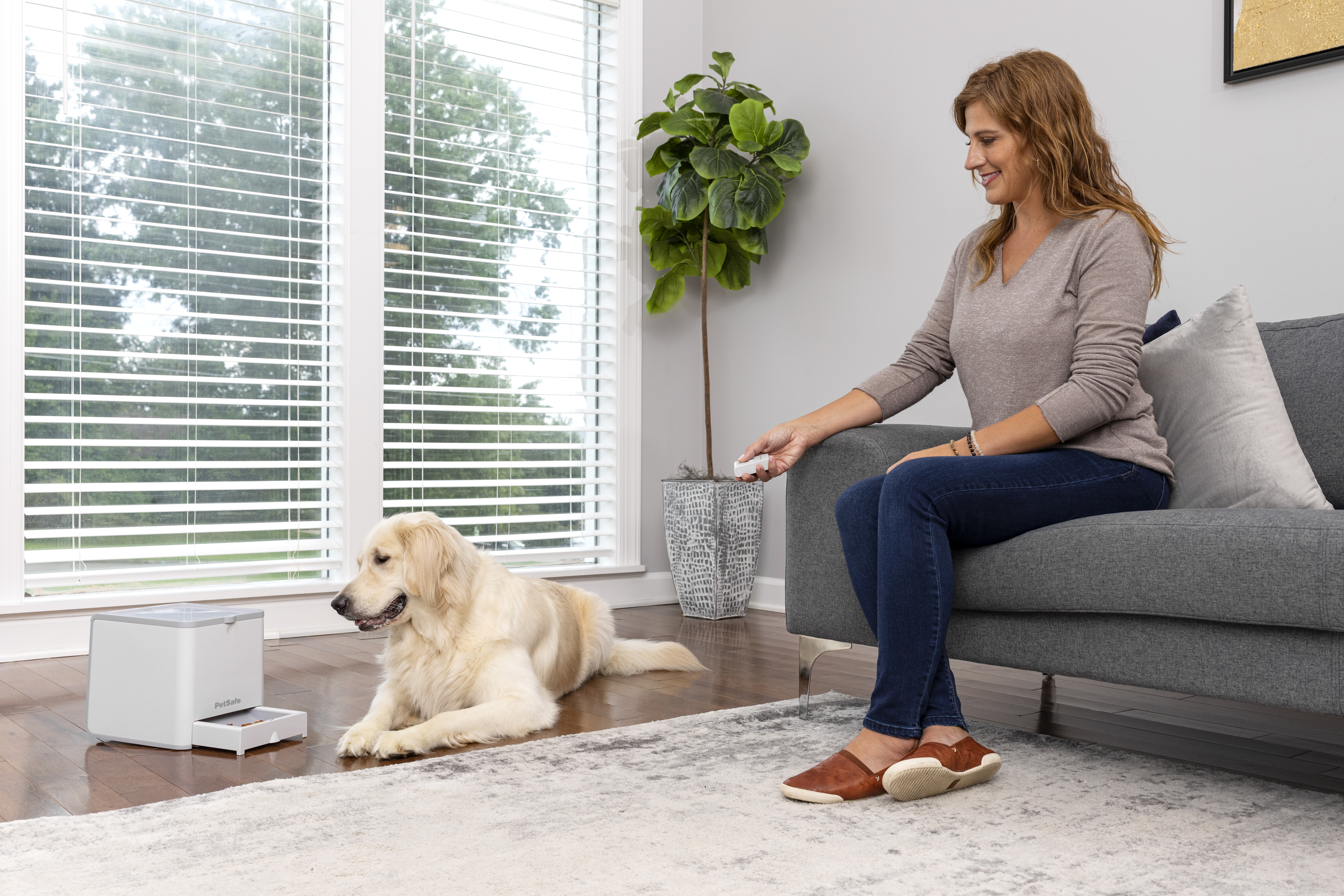 PetSafe® Teach & Treat Remote Reward Trainer