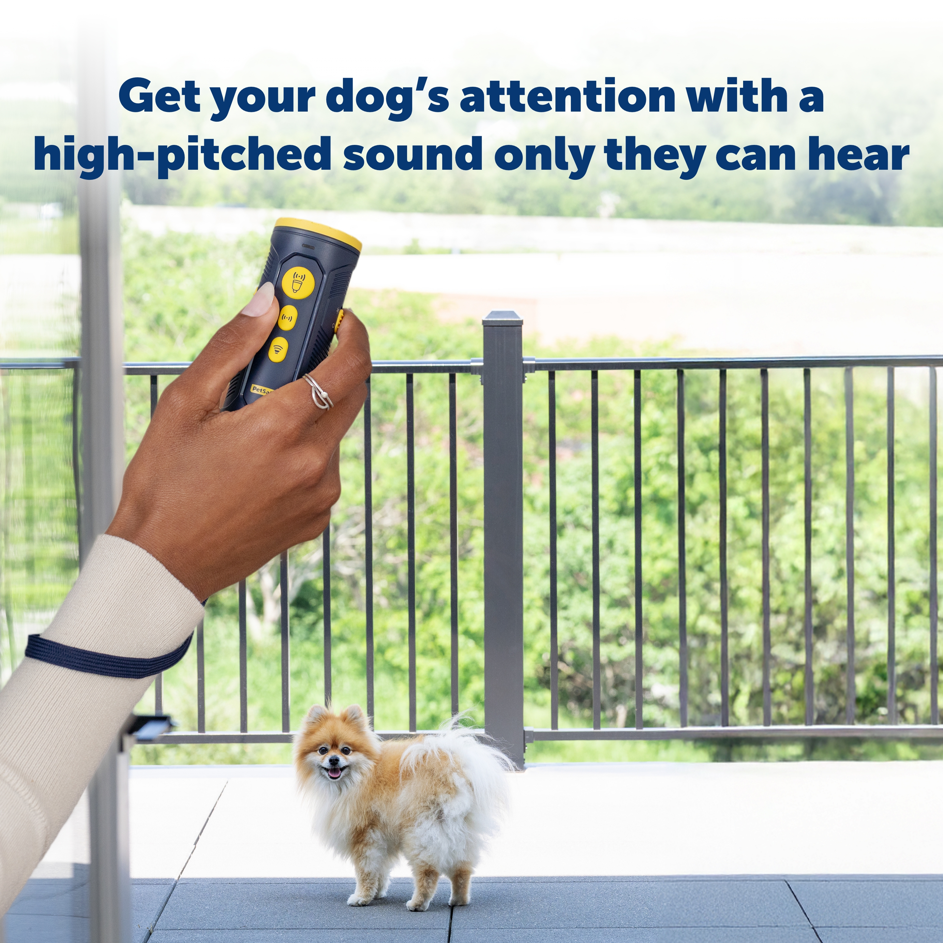 PetSafe® Collarless Trainer