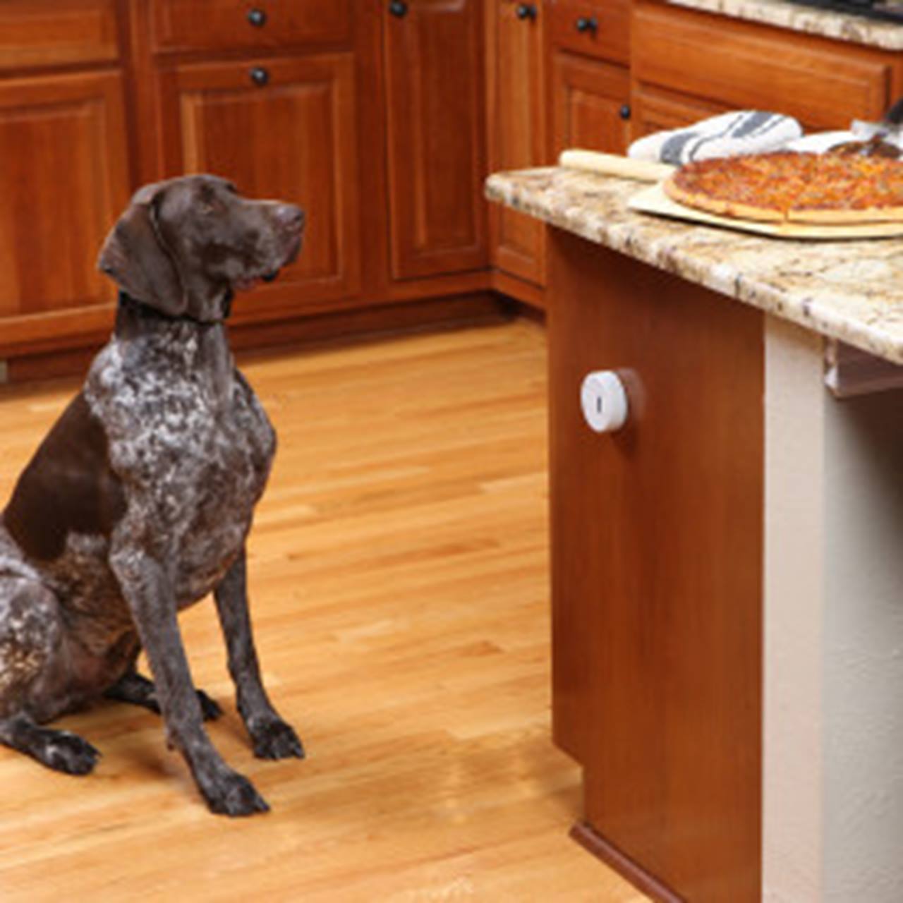 PetSafe® Pawz Away Mini Pet Barrier