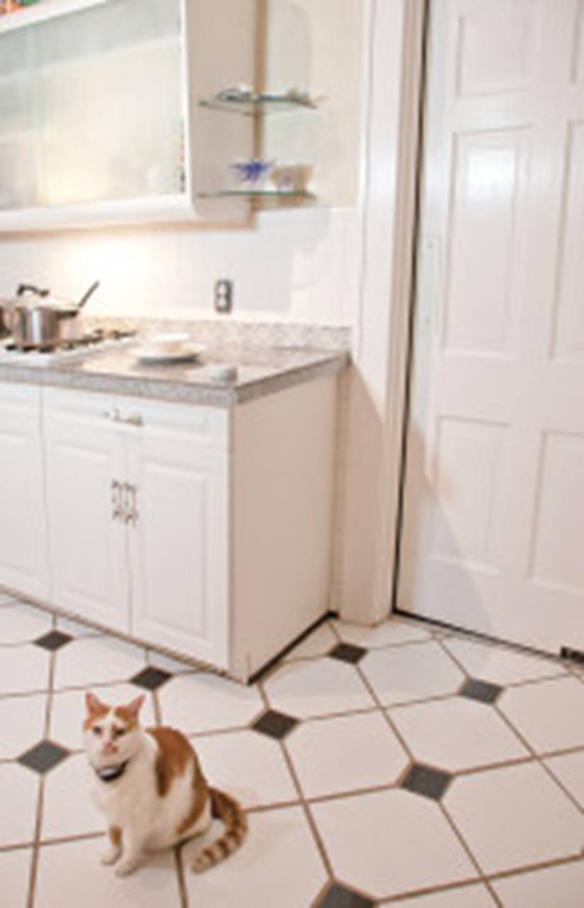 PetSafe® Pawz Away Mini Pet Barrier