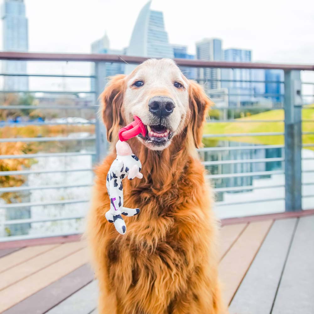 Pacifier Pals -  Cow 8"