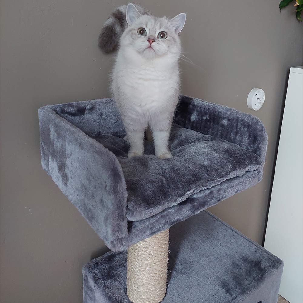 Cat scratcher Comfort grey*