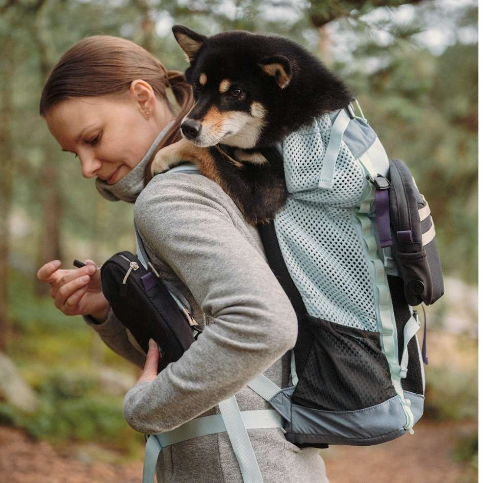 K9 Sport Sack® Opbergtas L Magnet Gray