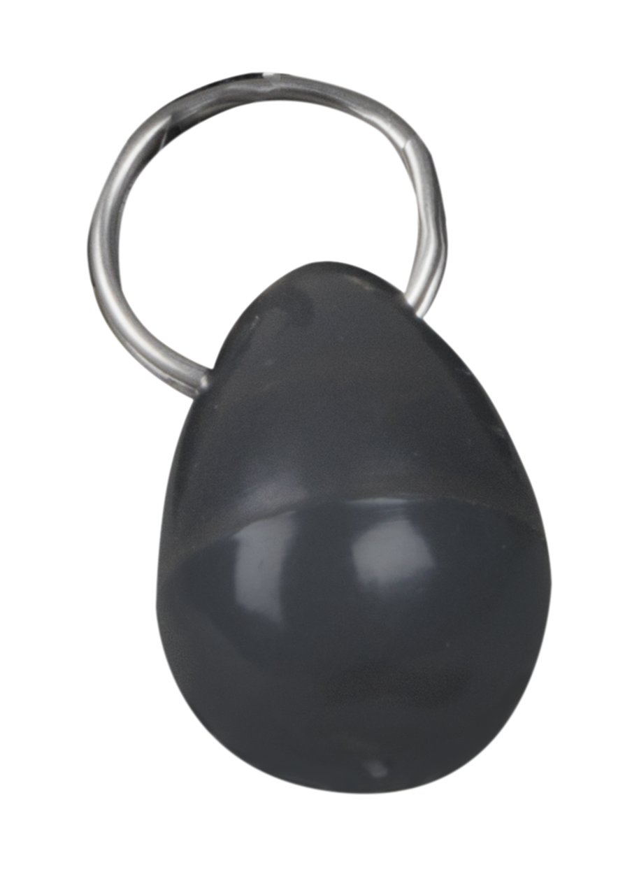 PetSafe® Magnetic Collar Key with Strap