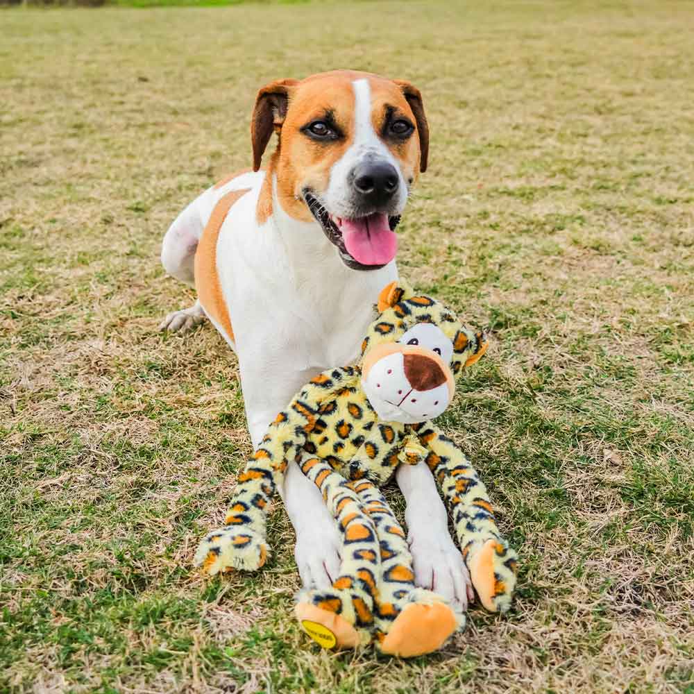 Swingin' Safari Leopard - 19"