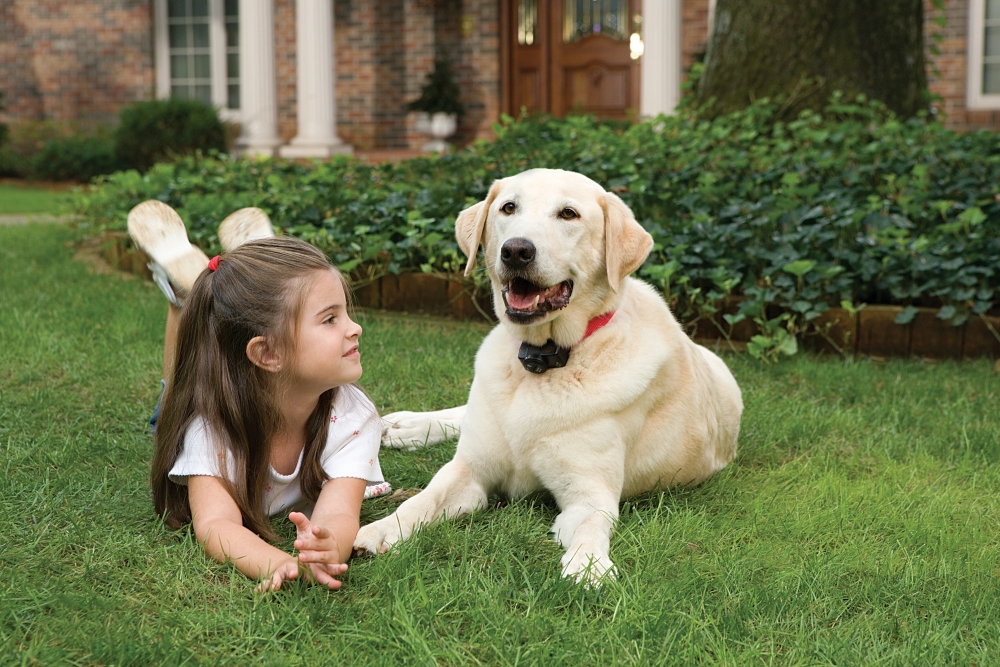 PetSafe® Wireless Fence Pet Containment System