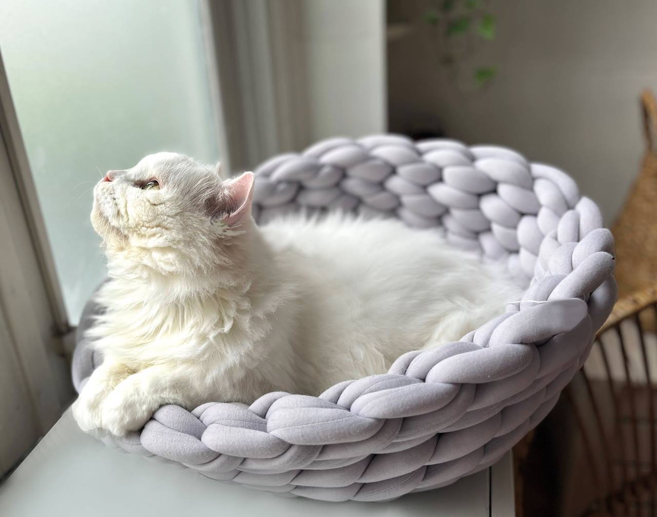 Quapas! Cat bed woven Grey