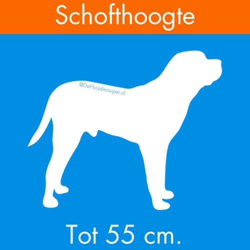 4Pets Pro Box 22 Double Medium