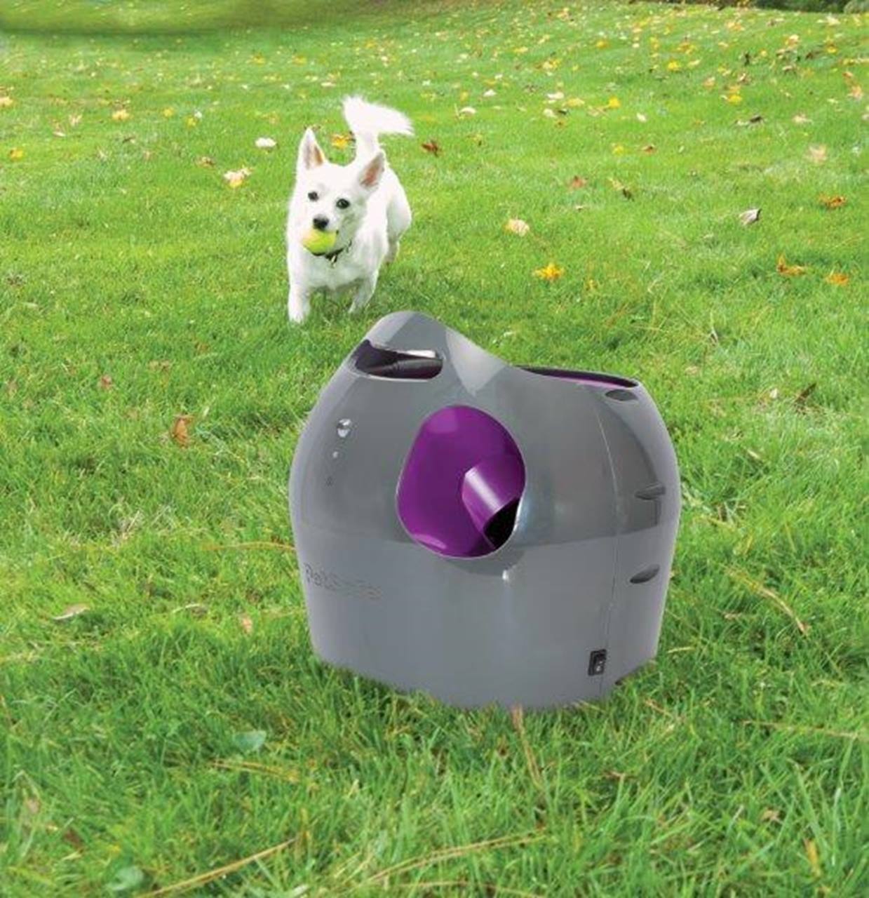 PetSafe® Automatic Ball Launcher