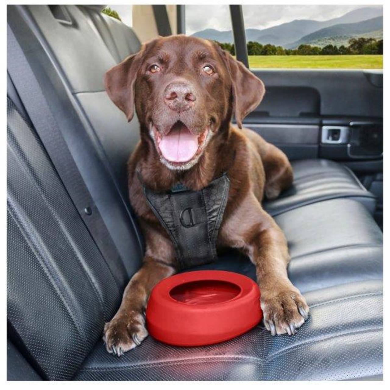 Kurgo Splash Free Wander Water Bowl, Chili Red