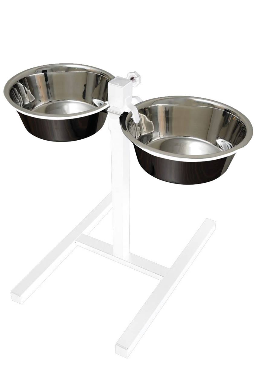 Quapas! Support H Blanc