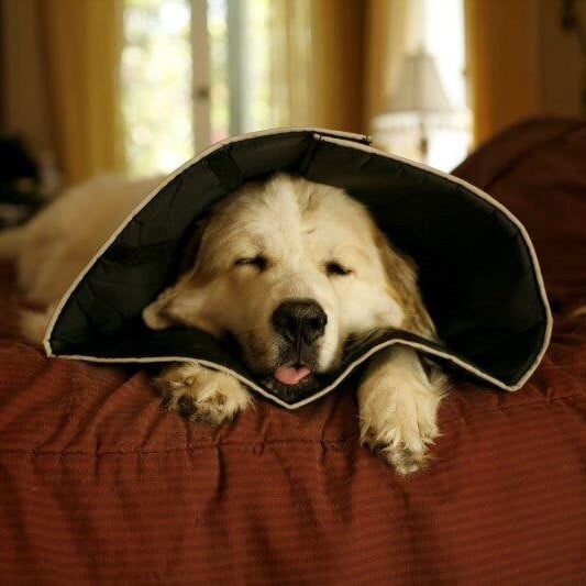 Comfy Cone Zwart