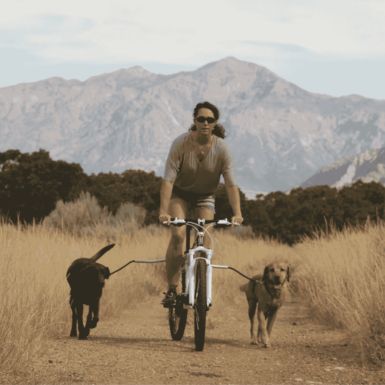 Cycleash Universal Bicycle Leach