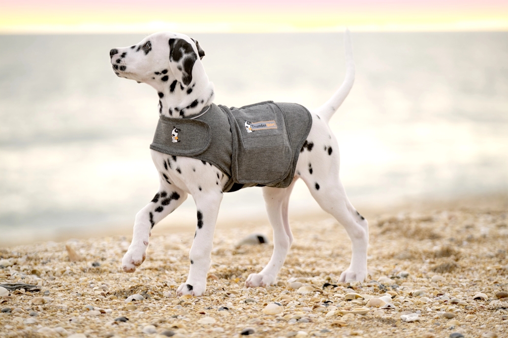 Thundershirt voor Honden Grijs S